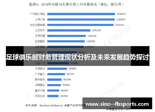足球俱乐部财务管理现状分析及未来发展趋势探讨